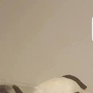 Meet your Posher, Richard